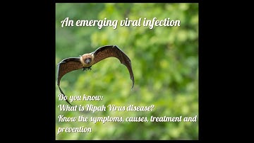 What is Nipah Virus? Symptoms, causes, Treatment and Prevention