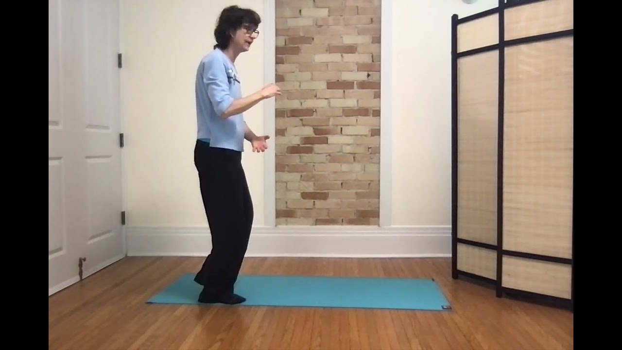 Yang 24: breaking down moves - Fair Lady Works with Shuttles