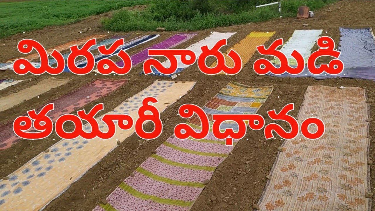 mirapa naru madi in telugu | mirchi naru madi | chilli naru madi | naru madi  | save farmers india