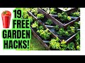 19 genius vegetable garden hacks you cant live without