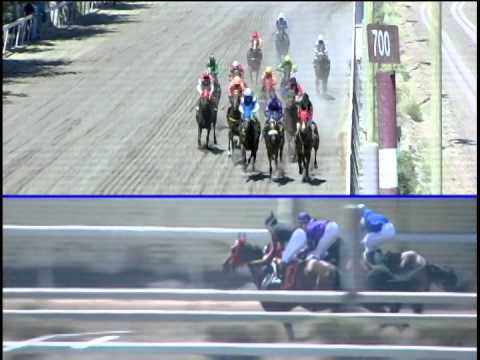 Vidéo de la course PMU PREMIO FORO ROMANO H.