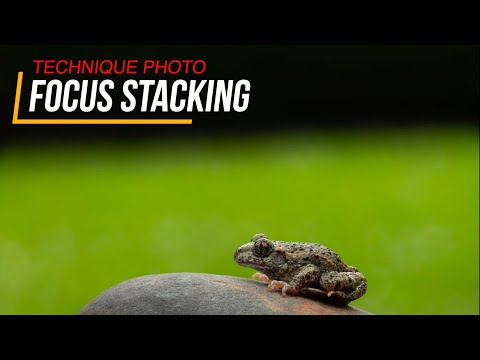 Focus Stacking! Sharpen your photos - A very useful photography technique for macro.