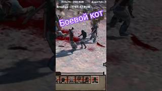 боевой кот #kenshi #strategy #simulator #rts #rp #stream #rpg #ayt #survivalgames #game