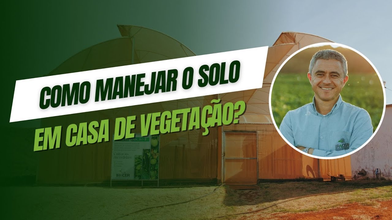 COMO MANEJAR O SOLO EM CASA DE VEGETAÇÃO?