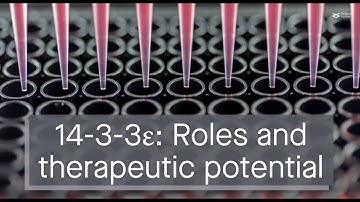The complex roles and therapeutic potential of the 14-3-3ε protein