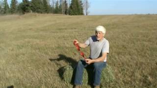 Gopher trapping using Death Klutch traps & BURROW BUDDY trapping tool