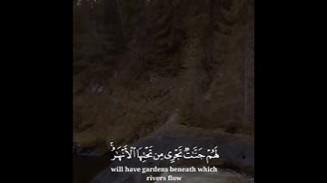 تلاوة خاشعة لسورة البروج للقارئ عبدالرحمن ناجي محاكاي اللحيدان #عبدالرحمن_ناجي #محمد_اللحيدان