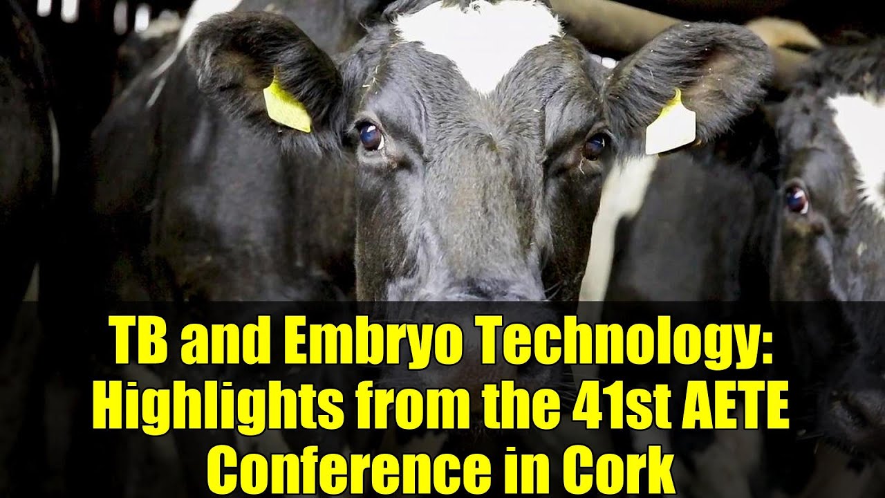 TB and Embryo Technology: Highlights from the 41st AETE Conference in Cork
