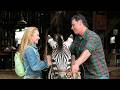 Racing Stripes | Full Movie Story Explained | Frankie Muniz | Hayden Panettiere