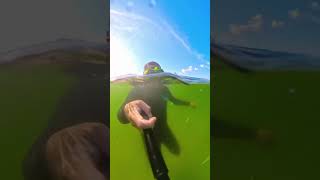 How I film underwater using an Insta360 camera 🤩 #vietbach360vlogs #insta360