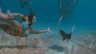 Legião Urbana - vento no litoral ( Cenas de Filmes ❣)