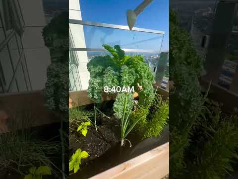 بنت صاحيه من النوم