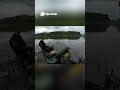 Tuszol złowiony karp I BUNGEE SHOTY I