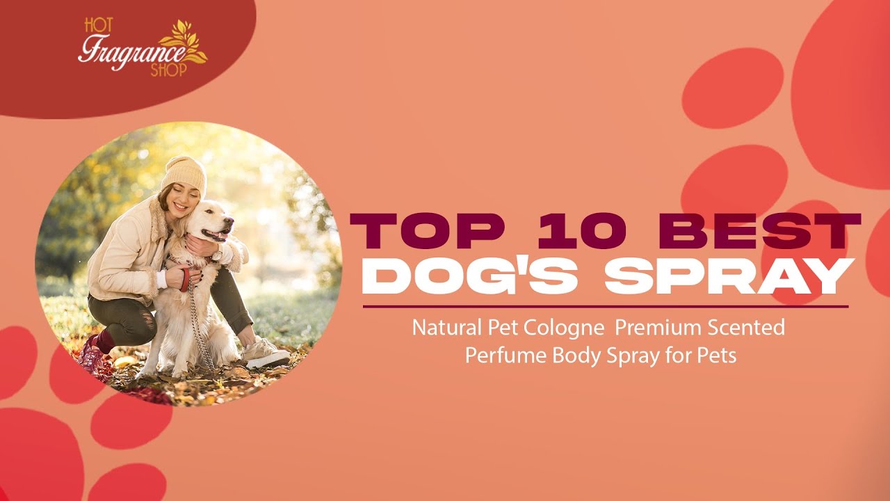 Top 10 Best Luxury Dog Perfume Cologne Spray USA 2021 YouTube