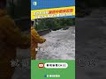 高雄豪雨災情