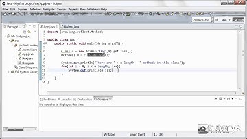 How to use reflection in Java?
