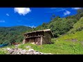 Simple And Very Beautiful Nepali Mountain Village Lifestyle || The Pastoral Lifestyle ||Nepal🇳🇵