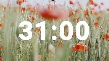 31 Minute Timer with Relaxing Music and Alarm, Countdown Clock for Stress Relief