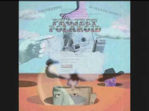 Project Polaroid — Project Polaroid -- Digital Engineering ( The Specialist Remix)