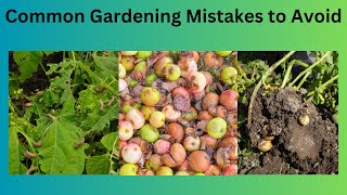 Common Gardening Mistakes to Avoid
