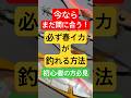 今ならまだ間に合う！必ず春イカが釣れる方法【初心者の方必見】