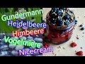 Nicecream Heidelbeere-Gundermann, Himbeere-Vogelmiere mit Sprossen