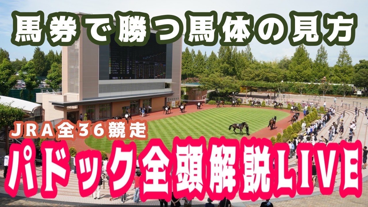 【JRAライブ】競馬記者が全レースのパドックを解説【チューリップ賞 中山記念 2026】