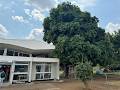 South Luangwa National Park Mfuwe Holiday Second Video 
