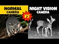    photo     night vision cameras  factified hindi ep 152