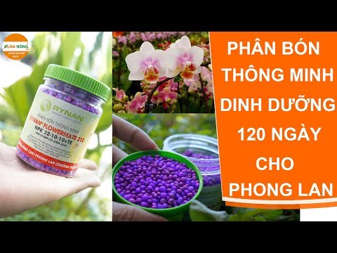 Kỹ thuật trồng lan | Phân tan chậm thông minh hiệu quả kéo dài 120 ngày | Foci