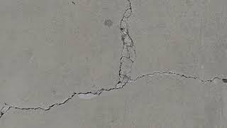 Warning Signs of Foundation Issues in Tampa Homes | Sandy Soils & Drainage Explained