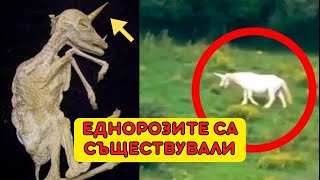 МИТИЧНИ Същества Истината