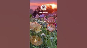 الشيخ ماهر المعيقلي  #اكسبلور #قرآن #explore #قران_راحة_نفسية #لايك #آية_الكرسي  #سورة_البقرة