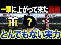 【新星現る】赤星・近本光司に匹敵するこの選手！実力の裏側を深堀り