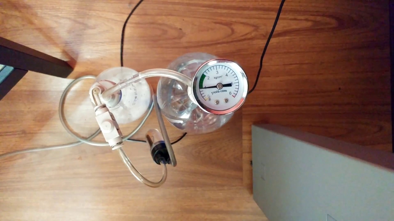 Aquariums Diy co2 with citric acid and baking soda YouTube