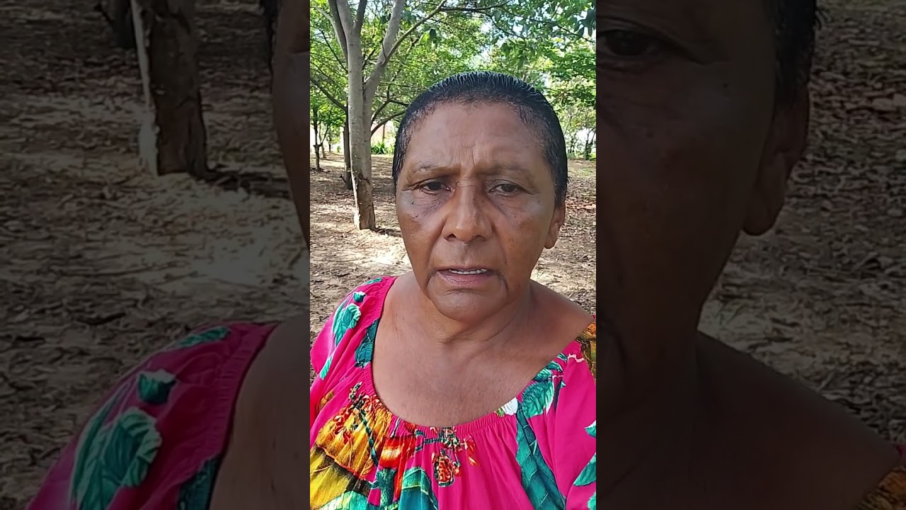 Palavra do dia 🙏🏻