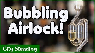 Watch an Airlock Bubbling During Mead Fermentation - Entertainment for Brewers
