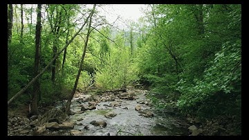 خواتيم سورة الزمر للقارئ (إسلام صبحي) || بتقنية ال8D