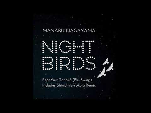 Night Birds (Shinichiro