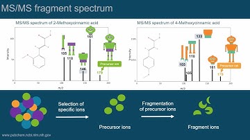 Reading and understanding mass spectra - Episode 2 | Introduction to LC-MS