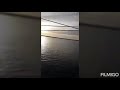 صوت الحوت الازرق في ليبيا ومصر ٢٠١٩ سبحان الله