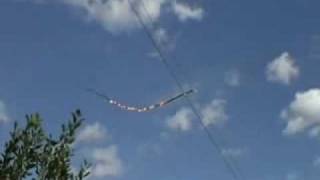 Famous Tree Branch Falls On Power Lines LiveLeak Wealth