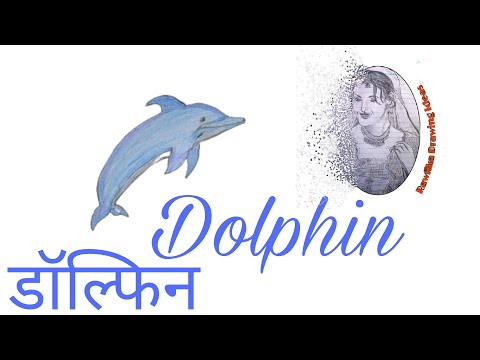 वीडियो: डॉल्फ़िन कैसे आकर्षित करें