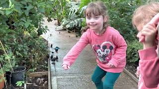 We went to the Butterfly Garden in Hassocks!