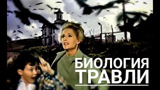 Биология Травли // Лекция Жени Тимоновой