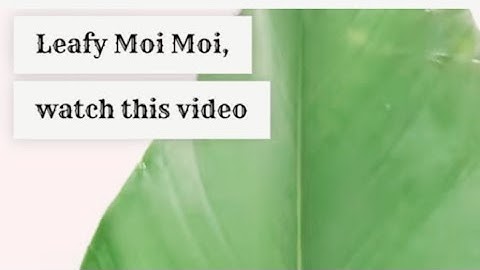 How To Wrap Moi-Moi Using leaf step by step guide for beginners
