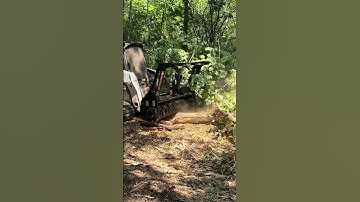 Bobcat T770 & Denis Cimaf 180D | Forestry Mulching