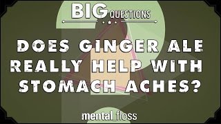 Does Ginger Ale Really Help With Stomach Aches? - Big Questions - Ep. 44 Mental Floss