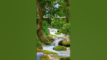 قرآن كريم #اكسبلور #تيك_توك #المصحف #صباح_الخير #دويتو #duet