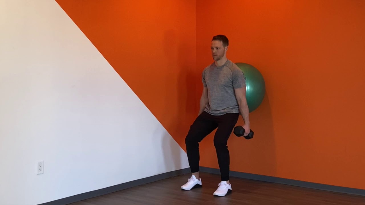 Dumbbell Stability Ball Wall Suitcase Squat